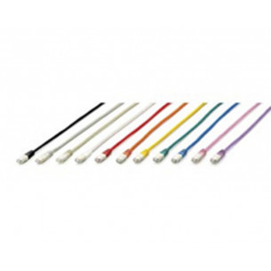 Latiguillo de Red EQUIP...