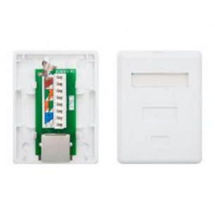 Roseta de Superficie...