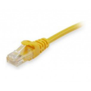 Latiguillo de Red EQUIP...