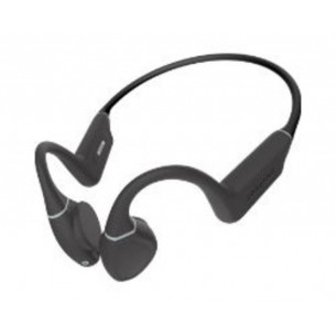 Creative Free Plus:...