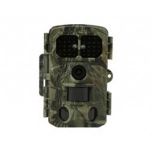 Cámara de Vida Silvestre...