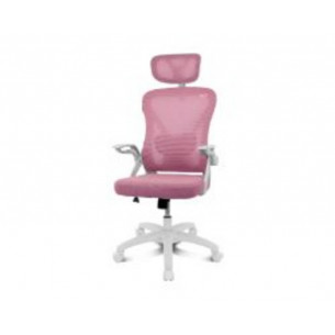 Drift DR350 Silla Gaming...
